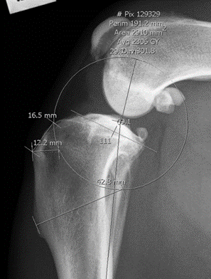 Center of circular cut_1