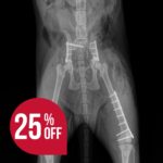 Advanced Fracture Repair 2-Day Course