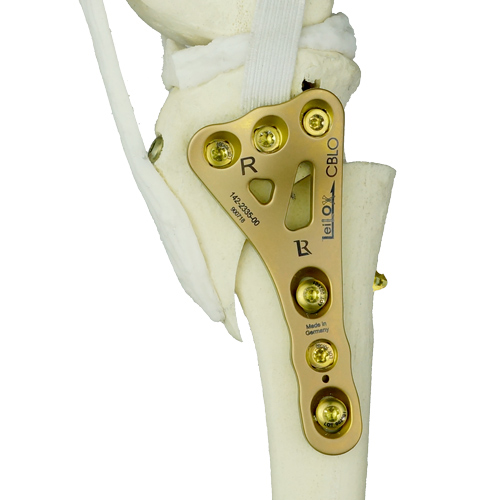 CBLO_Sawbone_WEB_500