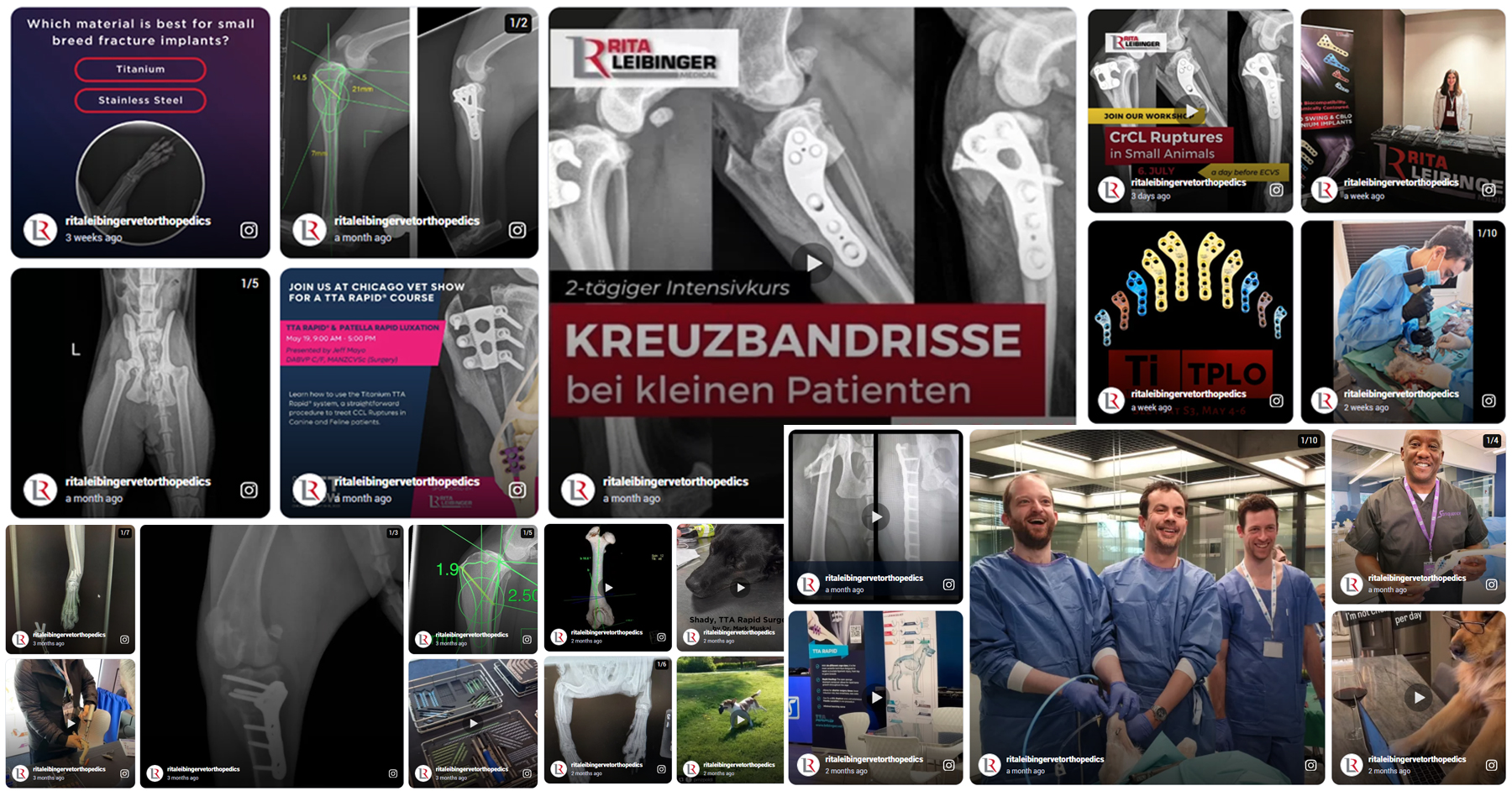 ritaleibingervetorthopedics