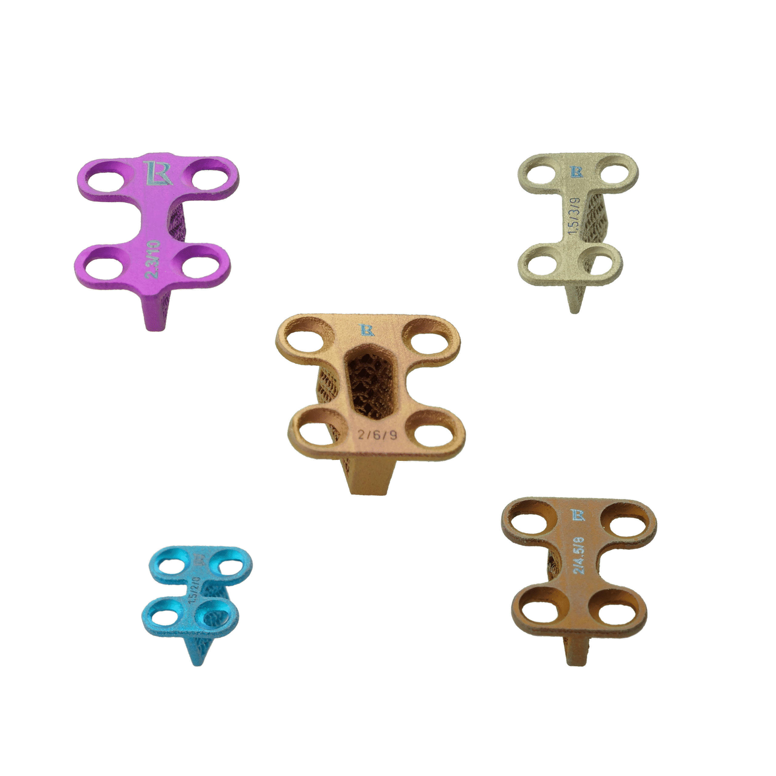 Tiny_Family_1300x1300