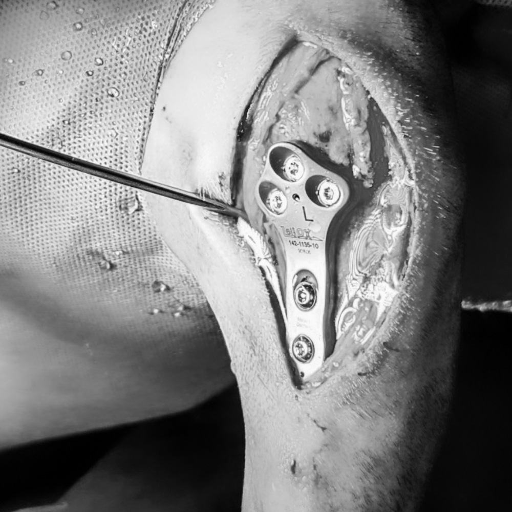 Dr. Elaine Holmes (bw)_web