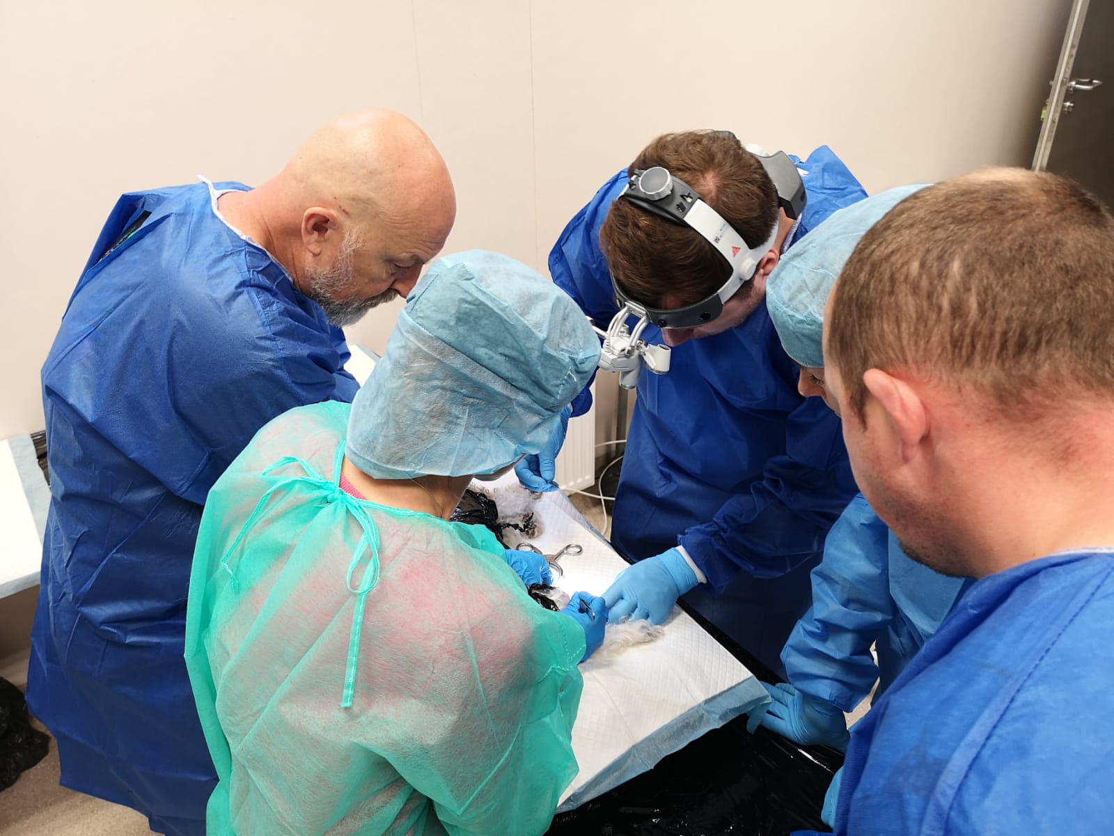 Workshops and CE Courses RITA LEIBINGER Academy