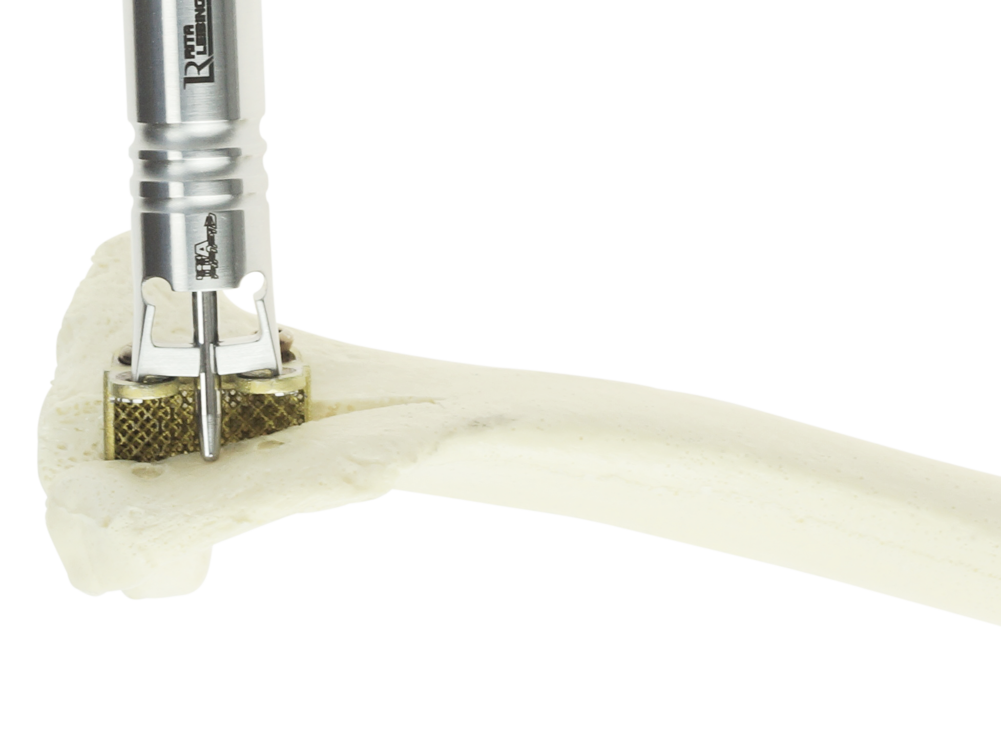 132-4070-00 mit Knochen_