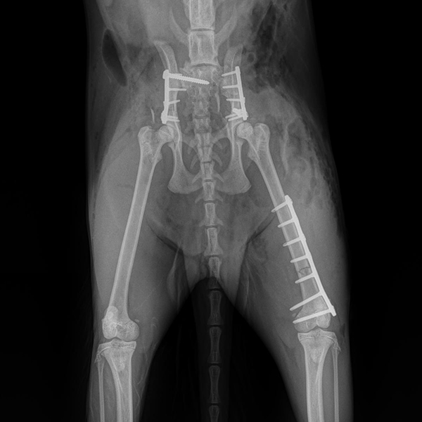 2-Day Fracture Course